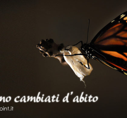 Ecco il nostro nuovo look