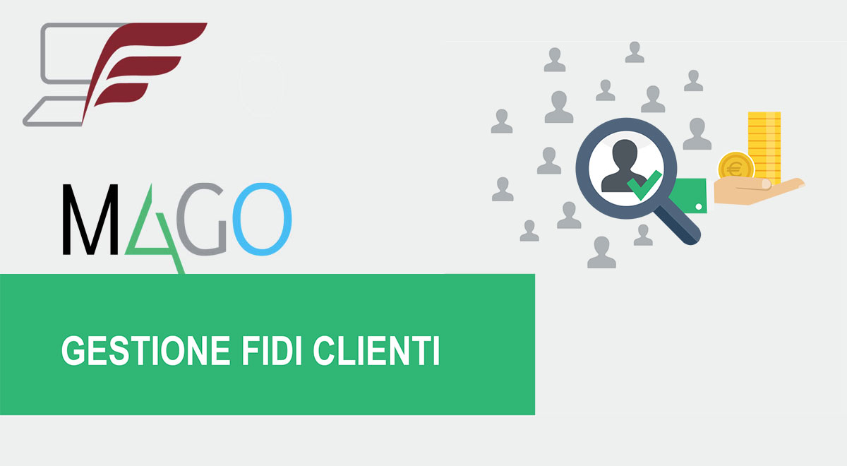 Moduli di Mago4: Gestione Fidi Clienti